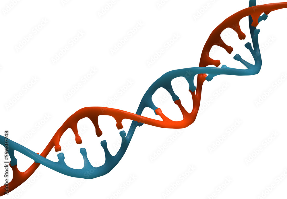 DNA helix 3D illustration. Science, education, research. Human genome, genetic engineering