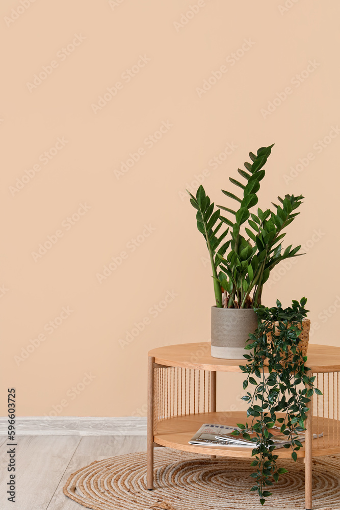 Coffee table with houseplants and magazines near beige wall