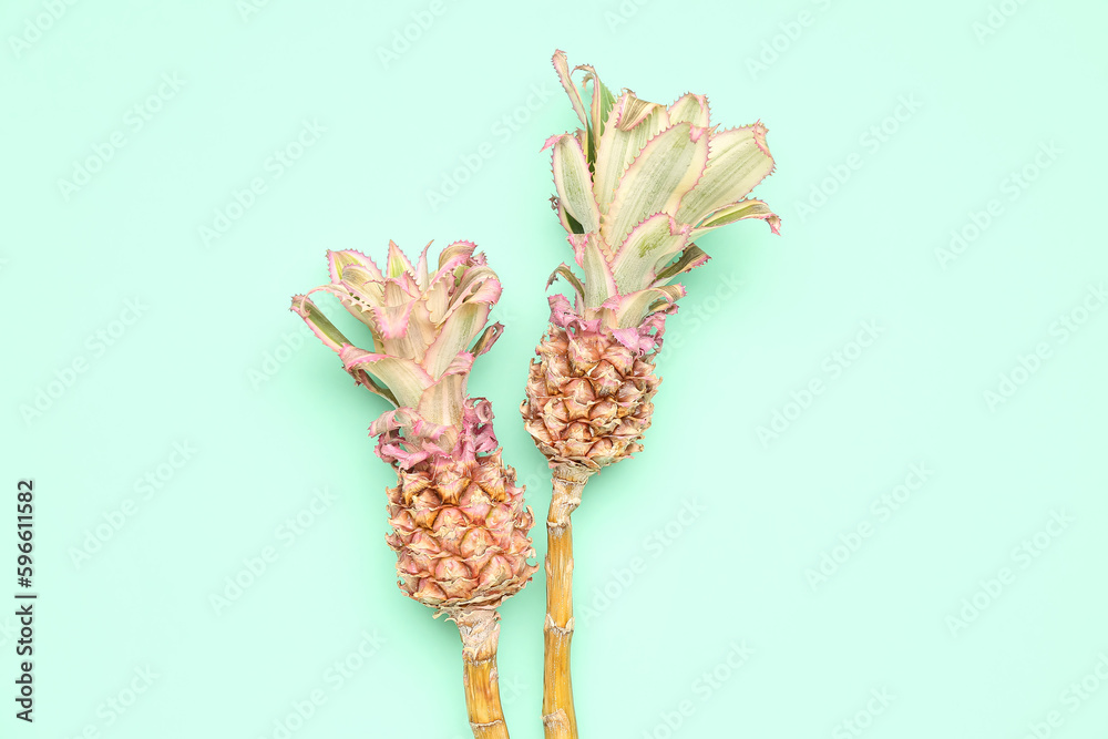 Decorative pineapples on green background