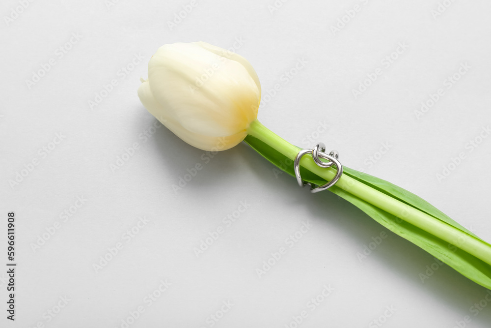 Tulip with silver ring on light background, closeup