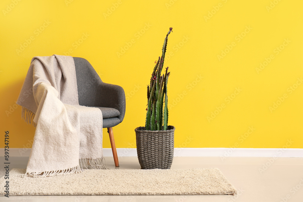 Stylish armchair with plaid and cactus in pot near yellow wall