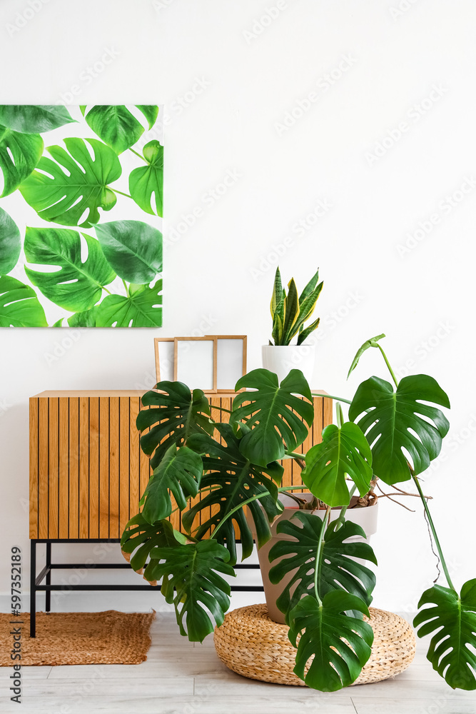 Interior of light living room with table and Monstera houseplant