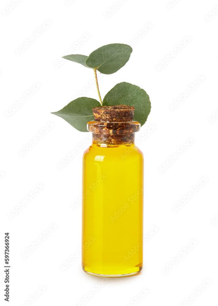 Bottle with cosmetic oil and eucalyptus branch on white background