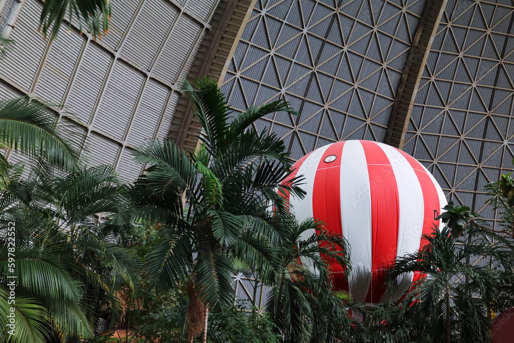 View of hot-air balloon and palm trees in amusement park