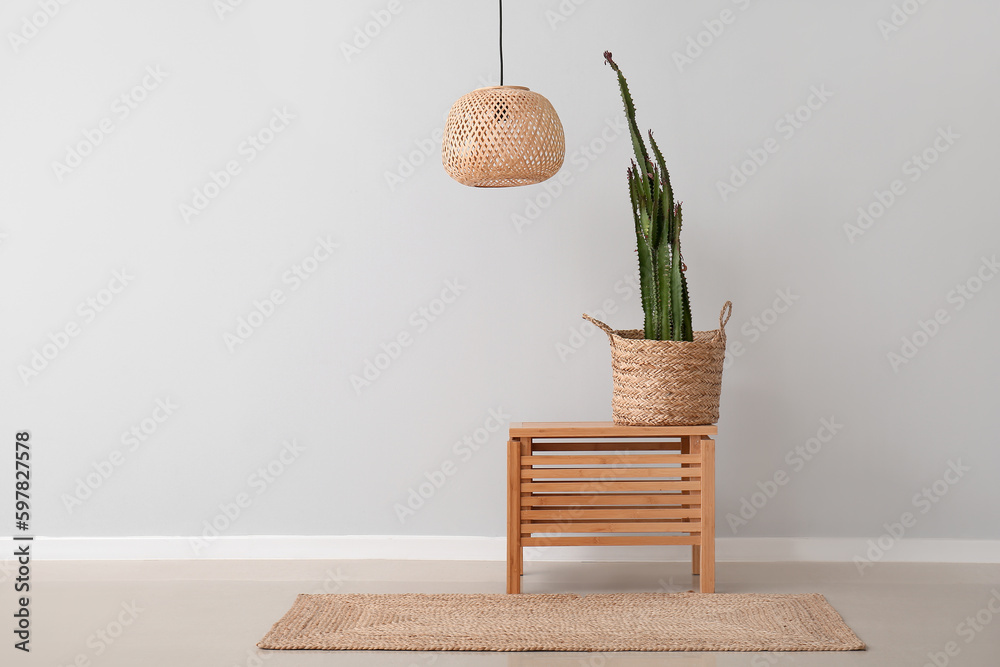 Pot with big cactus on table near grey wall