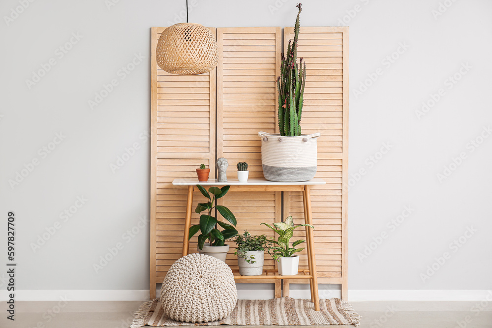 Table with houseplants, big cactus, pouf and folding screen near white wall