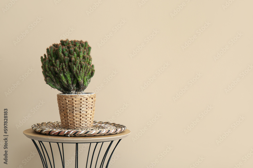 Cactus in wicker pot on table near beige wall