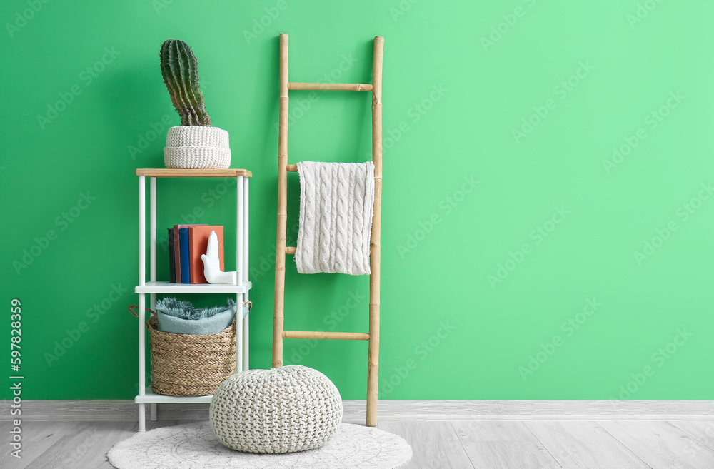 Ladder and shelving unit with cactus in pot near green wall