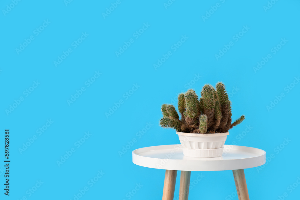 Stool with cacti in pot on blue background