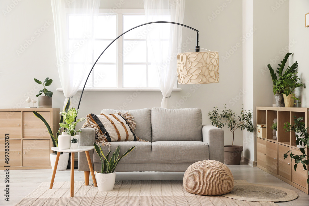 Interior of living room with sofa, lamp and houseplants