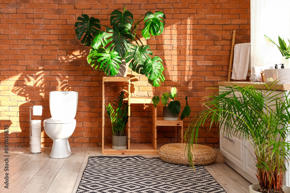 Interior of bathroom with toilet bowl, shelf and Monstera houseplant