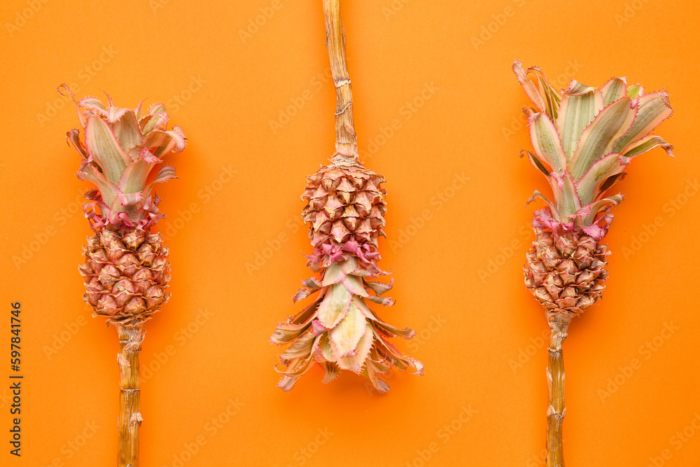 Decorative pineapples on red background