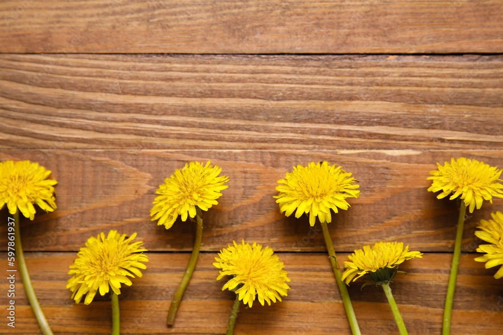 Bright yellow dandelions on wooden background