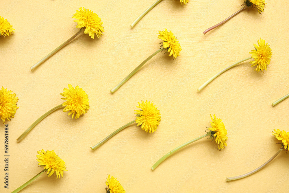 Bright fresh dandelions on yellow background