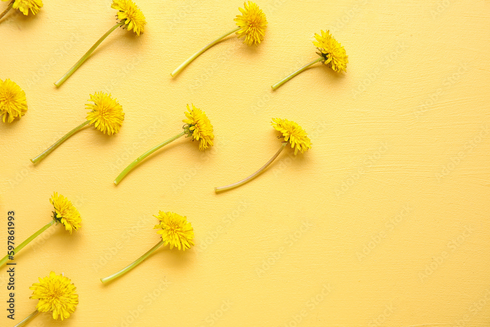 Bright fresh dandelions on yellow background