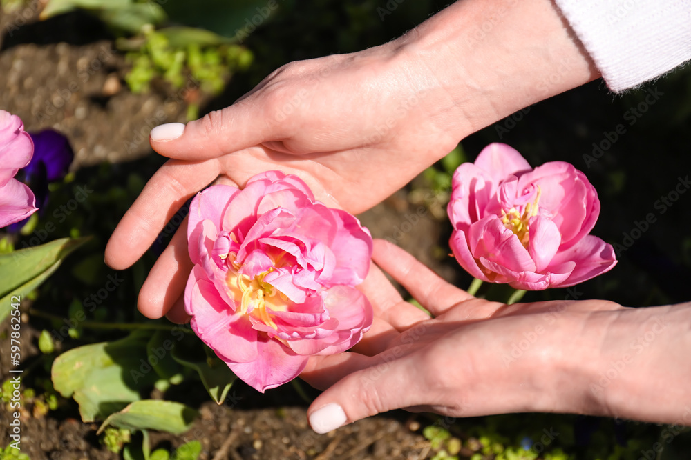 Woman with pink tulip on spring day, closeup