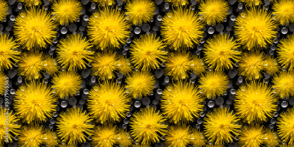 Beautiful blossoming dandelion flowers texture. Realistic  seamless pattern. Dandelion background.