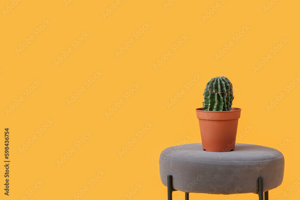 Stool with cactus in pot on yellow background