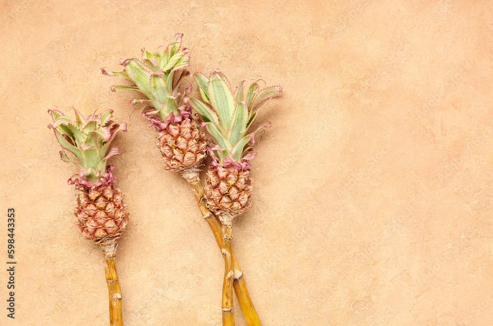 Decorative pineapples on color background