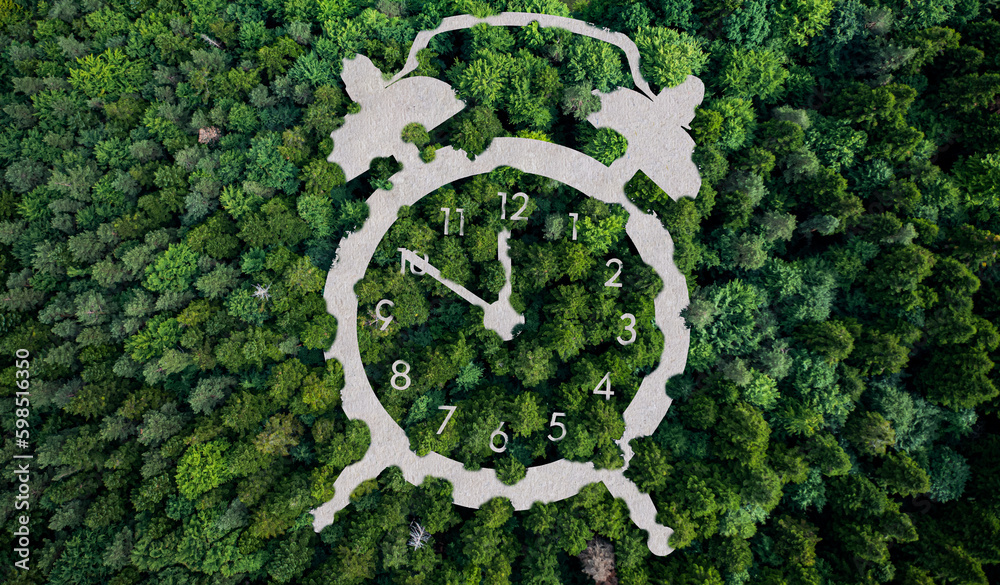 Clock icon on top view of forest.