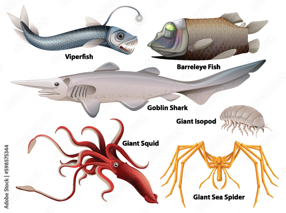 Deep Sea Creatures Collection