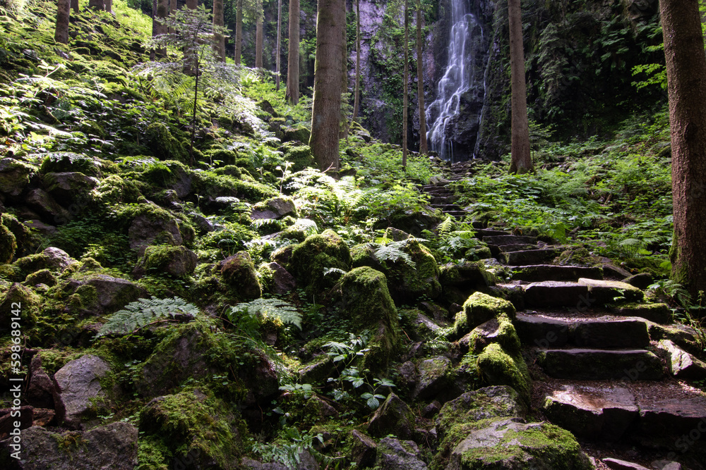 The Burgbach Waterfall in the coniferous forest falls over granite rocks into the valley near Bad Ri