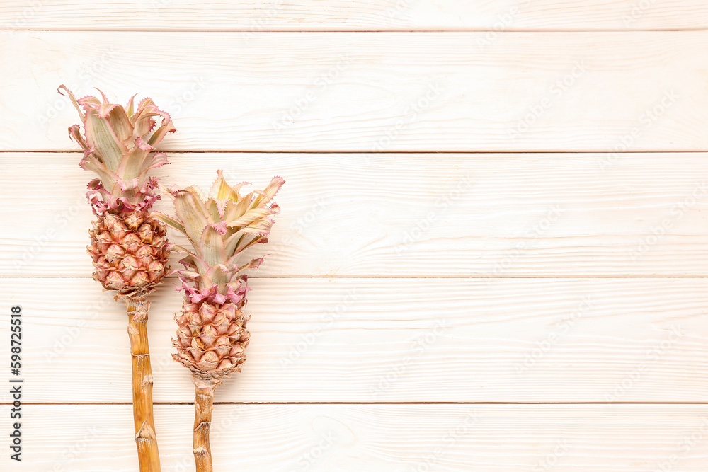 Decorative pineapples on white wooden background