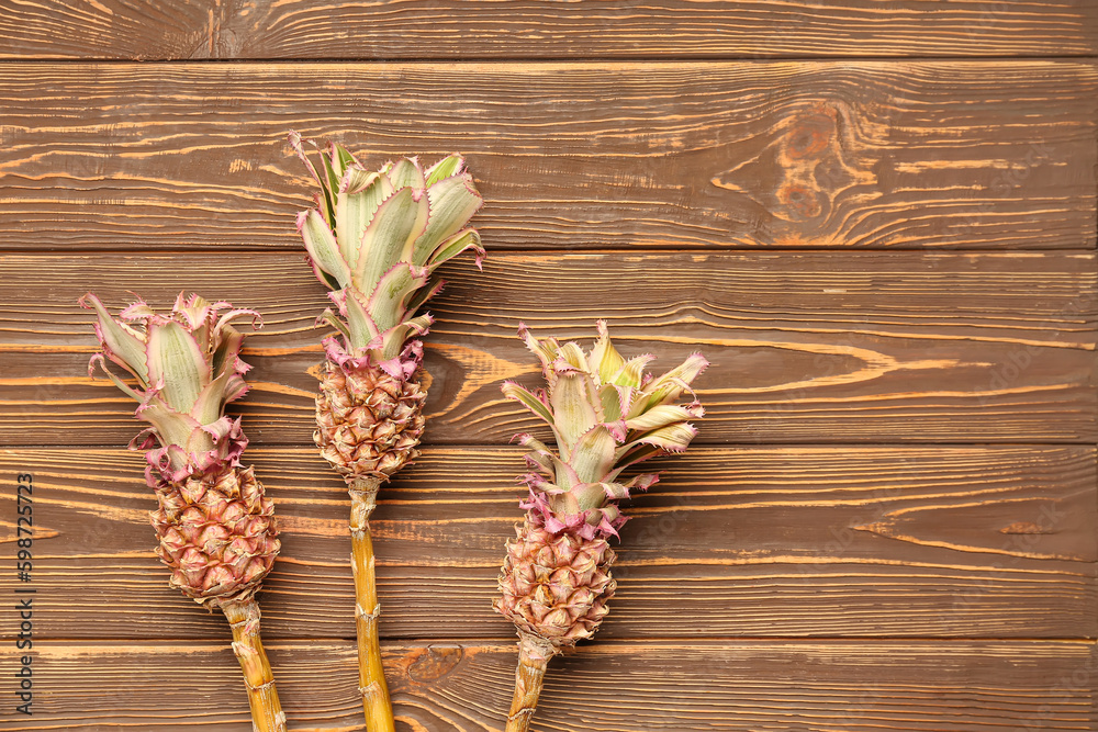 Decorative pineapples on wooden background