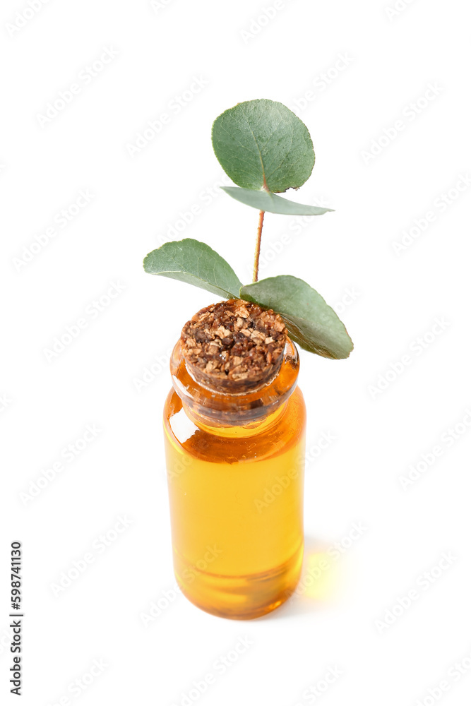 Bottle with cosmetic oil and eucalyptus branch on white background