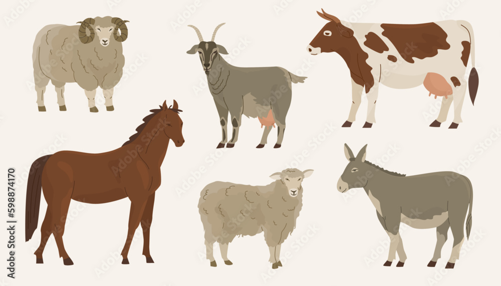 Set of 6 ungulates. Domesticated animals. Cow, goat, ram, sheep, donkey, horse. Farm pets. Household