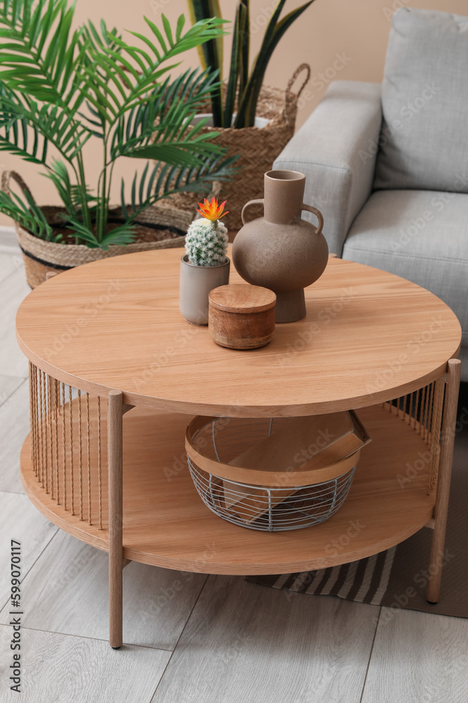 Coffee table with vase, cactus and book in basket in living room