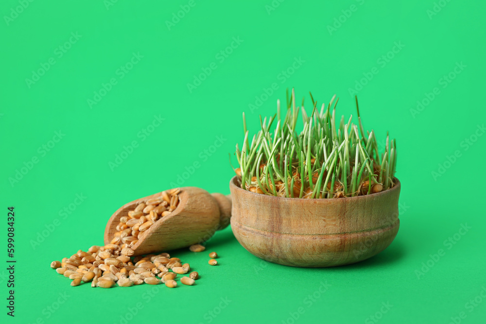 Bowl with fresh wheatgrass and scoop of grains on green background