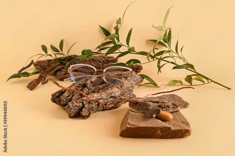 Stylish sunglasses with tree barks and plant branch on beige background