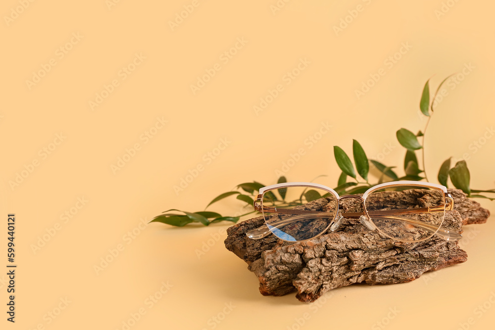 Stylish sunglasses with tree bark and plant branch on beige background