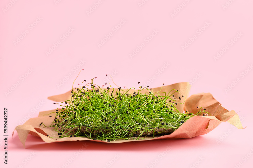 Fresh micro green on pink background