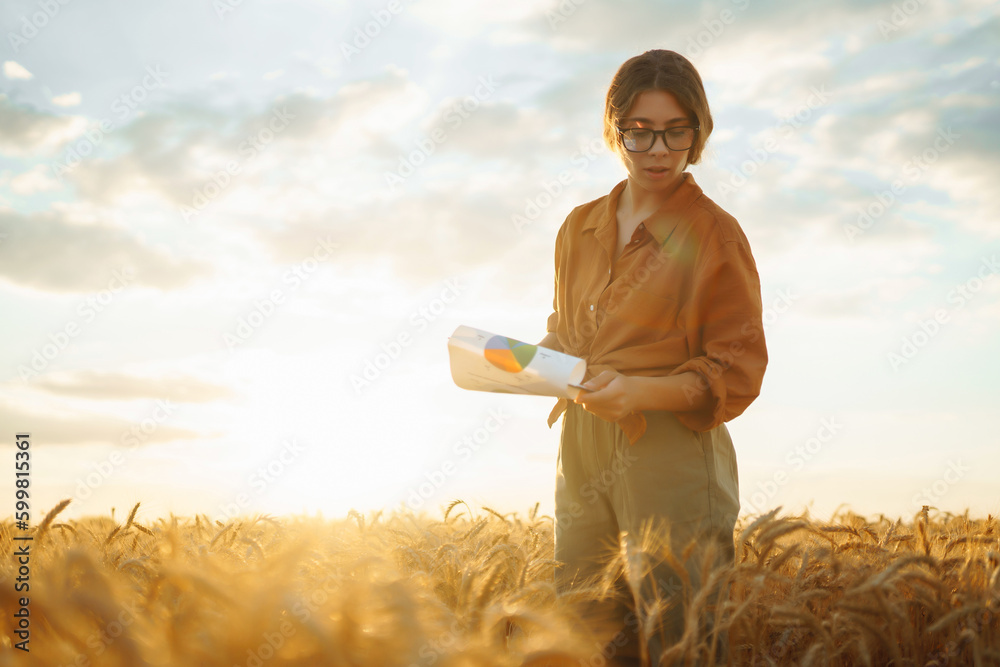 Farm owner with tablet in her hands in wheat field checks quality and progress of harvest. Harvestin