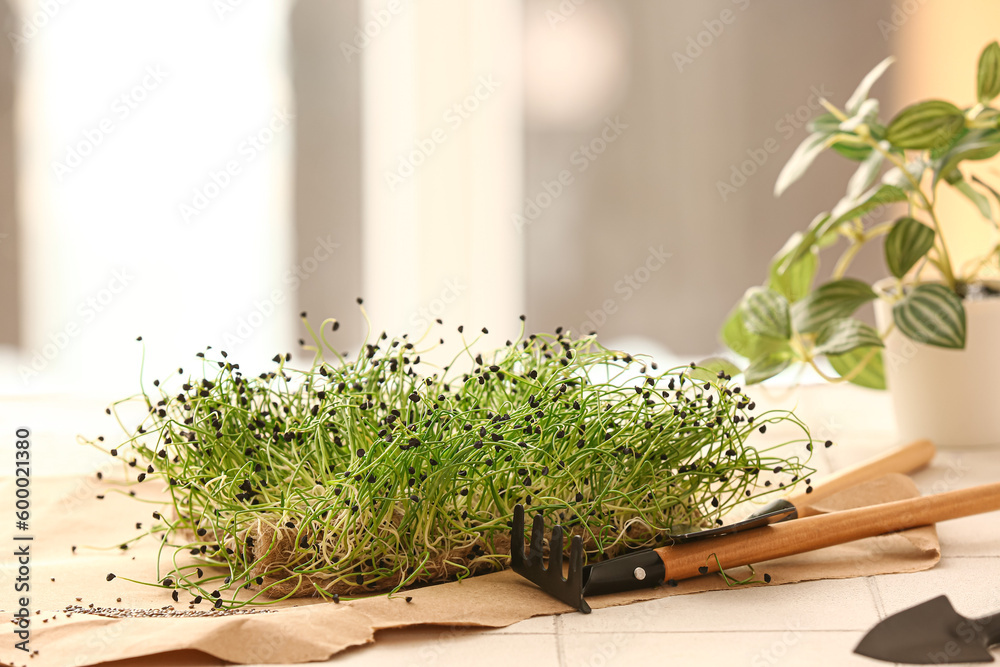 Fresh micro green and rake on table