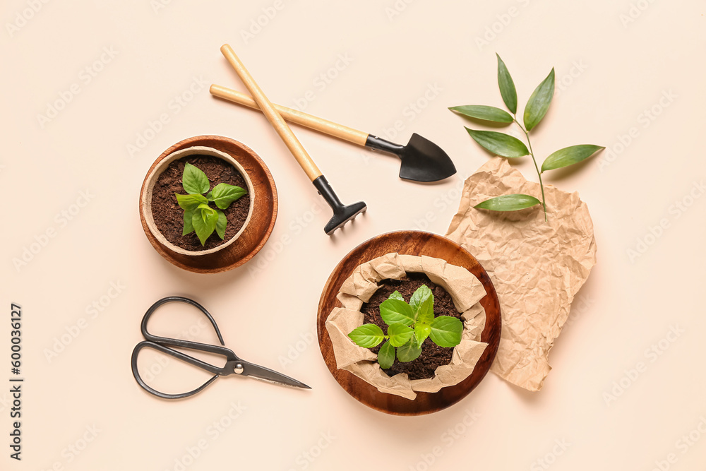 Peat pots with green seedlings and gardening tools on beige background