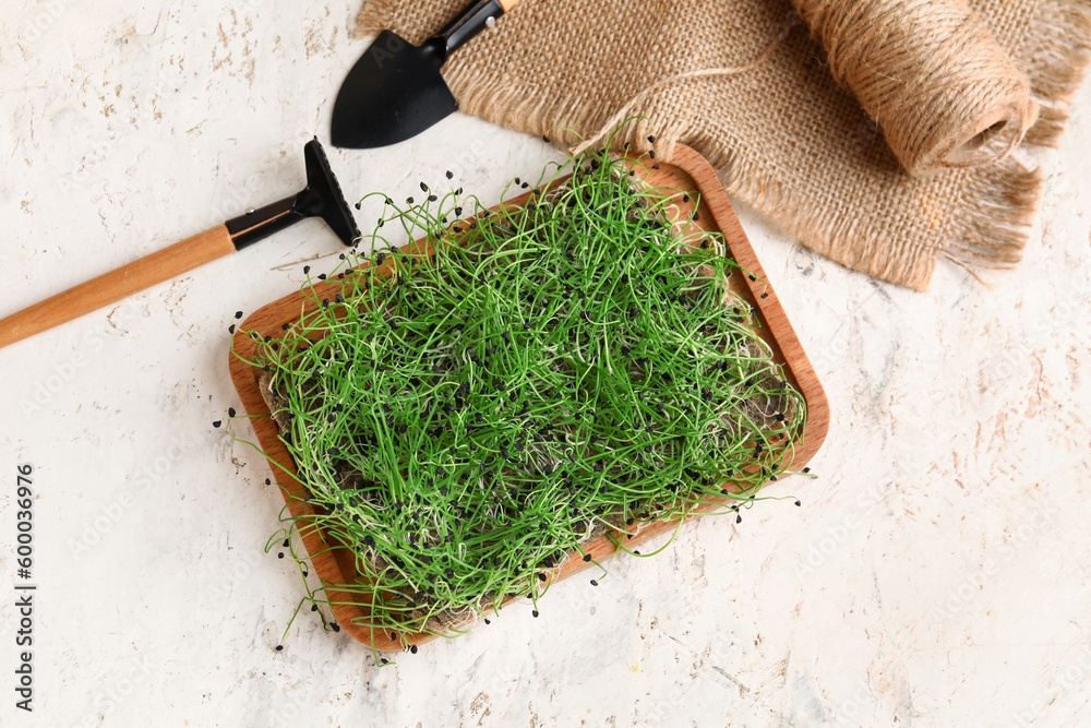 Wooden board with fresh micro green and rake on light background