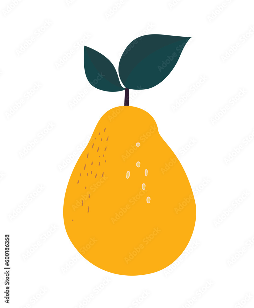 Simple doodle pear fruit on white. Vector Illustration