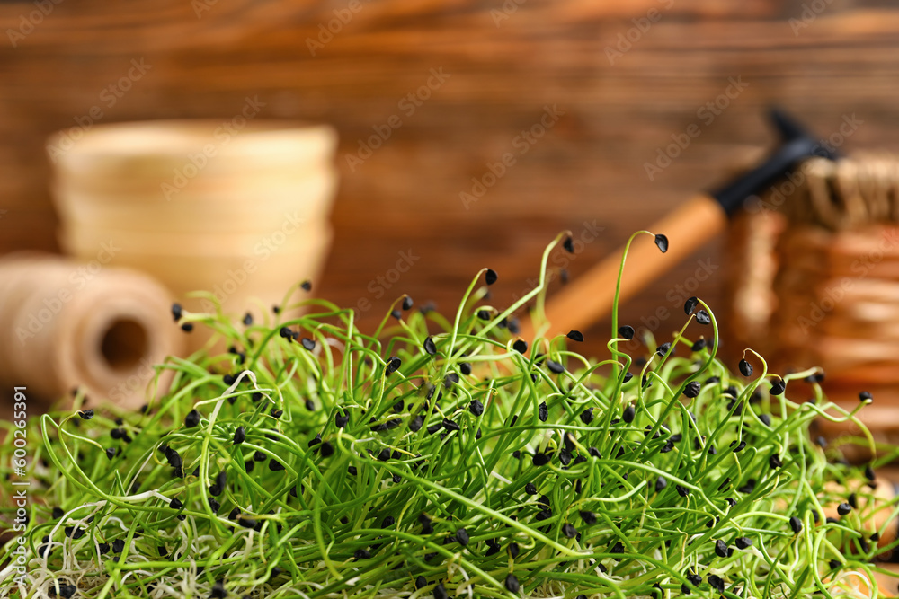 Fresh micro green on wooden background, closeup