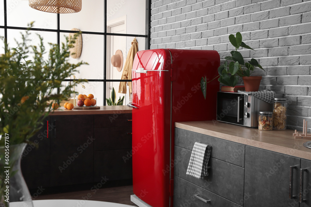 Interior of modern kitchen with stylish refrigerator