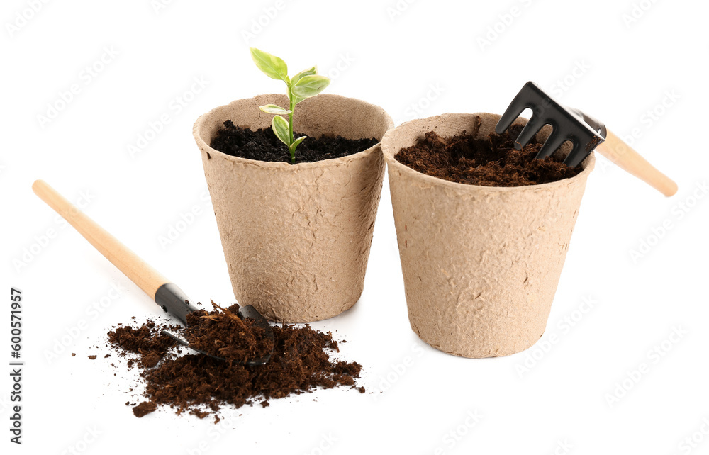 Peat pots with green seedling, shovel and rake on white background