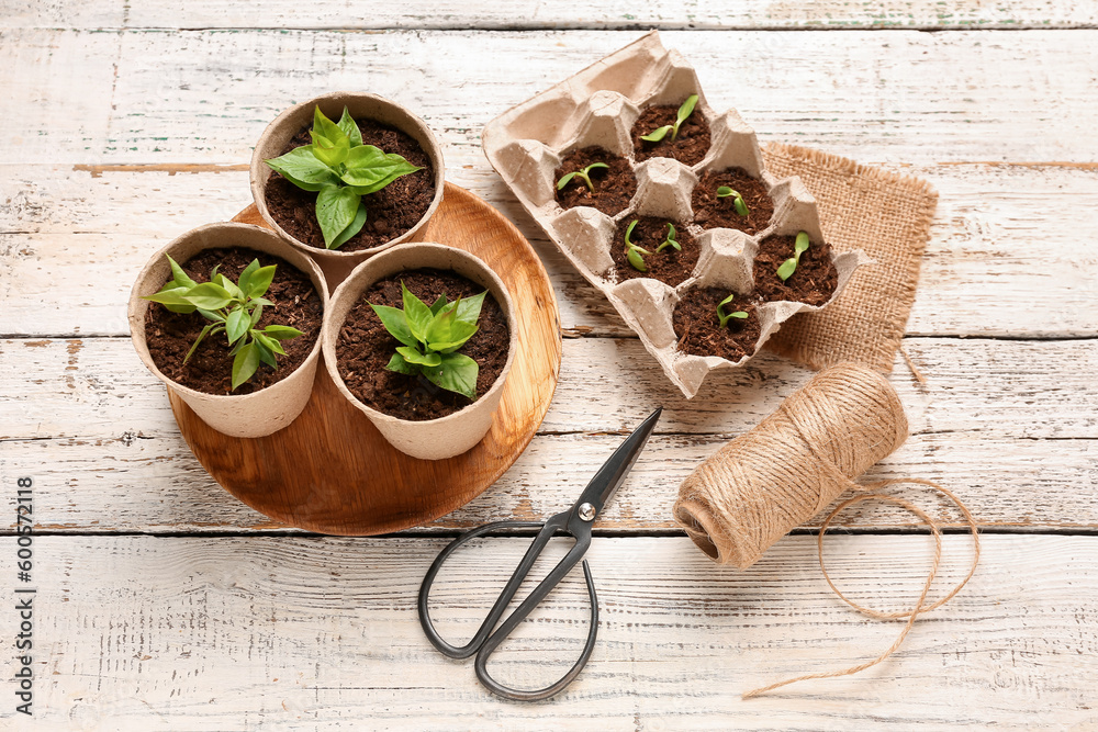 Green seedlings, scissors and rope on light wooden background