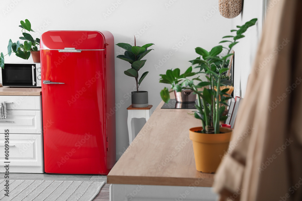 Interior of modern kitchen with stylish refrigerator, closeup