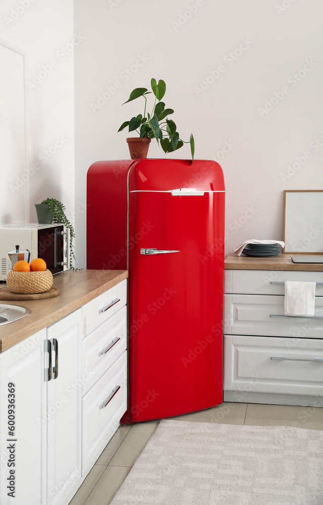 Interior of modern kitchen with stylish refrigerator