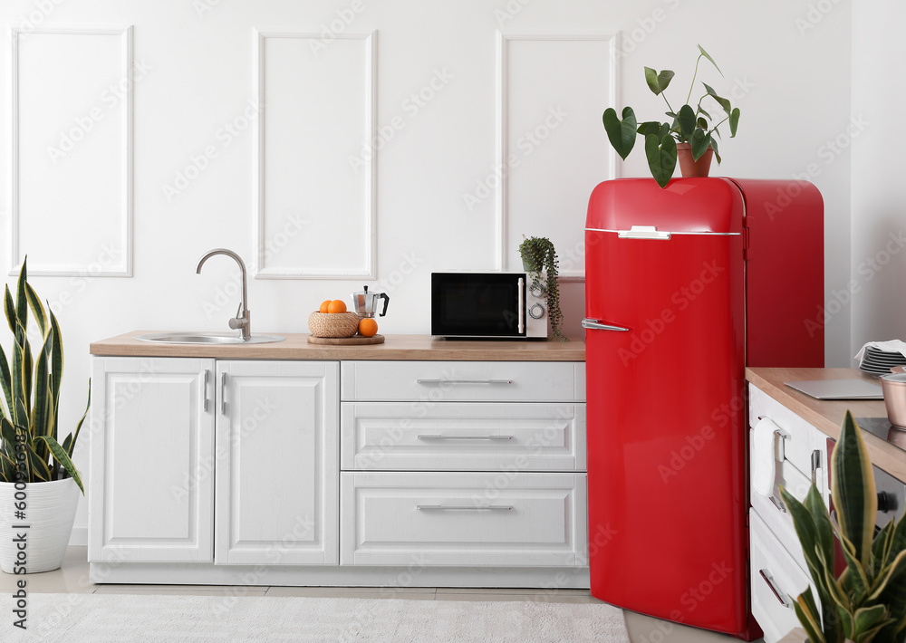 Interior of modern kitchen with stylish refrigerator