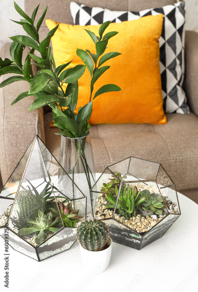 Florariums and vase with plant branches on table in living room