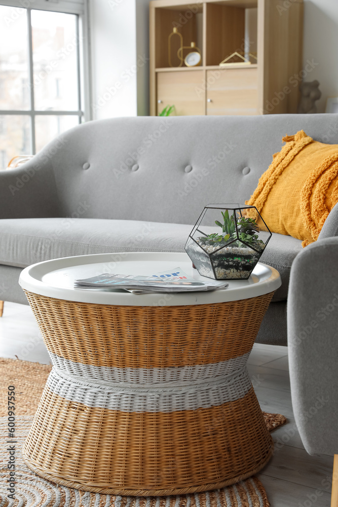 Florarium with magazines on table in living room