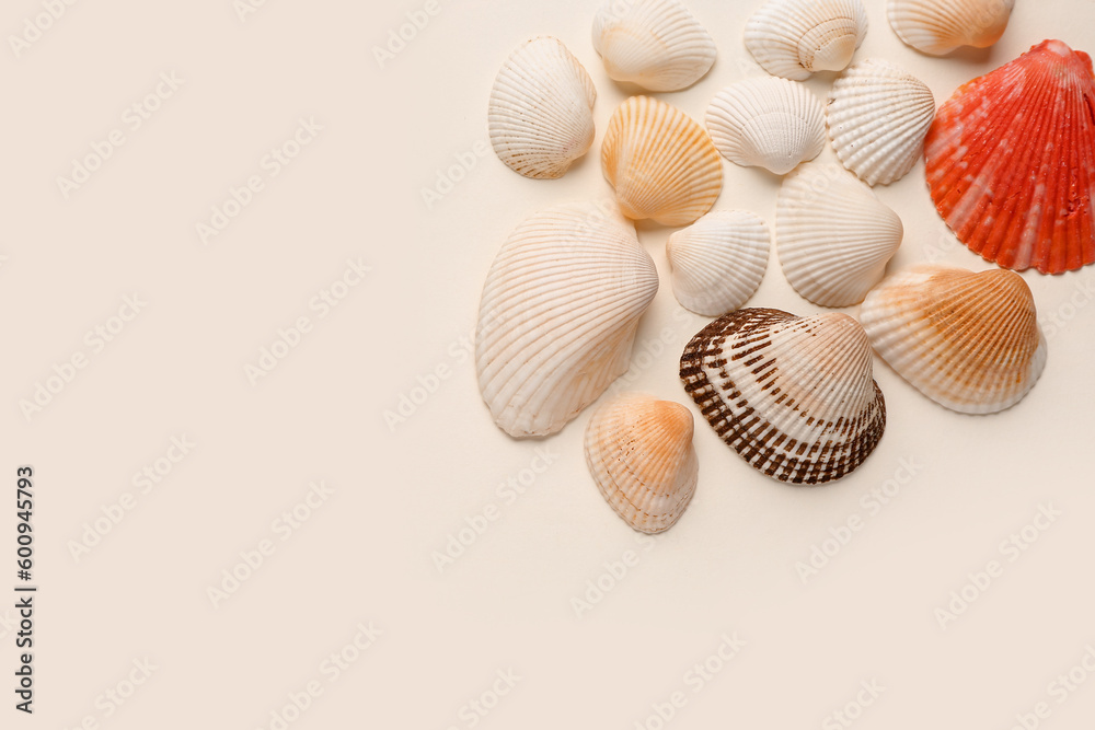 Beautiful seashells on beige background